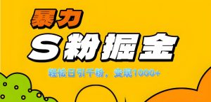 单人单机日引千粉，变现1000+，S粉流量掘金计划攻略！-星璨学社