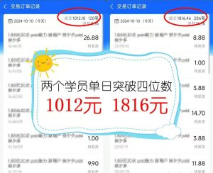2024年闲鱼虚拟资产 日入2000+ 利用人性 让客户上瘾 不停地复购-星璨学社