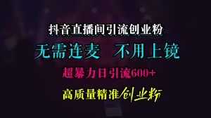 抖音直播间引流创业粉，无需连麦、无需上镜，超暴力日引流600+高质量精准创业粉-星璨学社