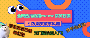 全网热推的猫咪搞笑视频，引发爆笑故事风潮，多平台适用，轻松实现日赚四位数，无门槛快速入门！-星璨学社