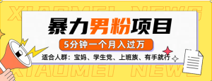 男粉项目，5分钟一个，无脑月入五位数-星璨学社