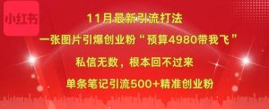 小红书11月最新图片打法，一张图片引爆创业粉“预算4980带我飞”，私信无数，根本回不过来，单条笔记引流500+精准创业粉-星璨学社