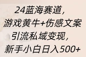 24蓝海赛道，游戏黄牛+伤感文案引流私域变现，新手日入500+-星璨学社