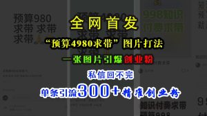 小红书“预算4980带我飞”图片打法，一张图片引爆创业粉，私信回不完，单条引流300+精准创业粉-星璨学社