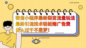 微信小程序最新裂变流量玩法，最新引流技术收益高轻松赚广告费，日入过千-星璨学社