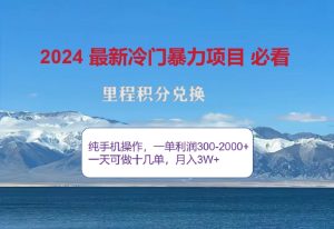 2024惊爆冷门暴利！出行高峰来袭，里程积分，高爆发期，一单300+—2000+，月入过万不是梦！-星璨学社
