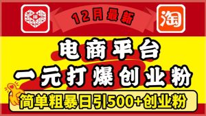 12月最新：电商平台1元打爆创业粉，简单粗暴日引500+精准创业粉，轻松月入5万+-星璨学社