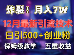 炸裂！月入7W+揭秘12月最新日引流500+精准创业粉，多重收益保姆级教学-星璨学社