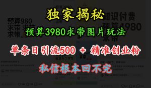 “小红书”预算3980求带 图片玩法，单条日引流500+精准创业粉，私信根本回不完-星璨学社
