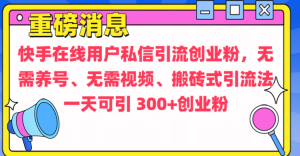 通过给快手在线用户私信引流创业粉，无需养号、无需视频、搬砖式引流法，一天可引300+创业粉-星璨学社