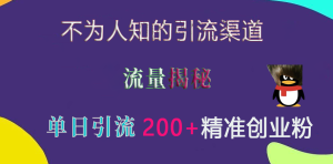不为人知的引流渠道，流量揭秘，实测单日引流200+精准创业粉-星璨学社