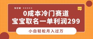 0成本冷门赛道，宝宝取名一单利润299，小白轻松月入过万-星璨学社