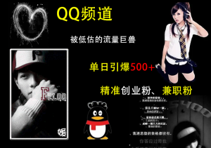 QQ频道，被低估的流量巨兽，单日引爆500+精准创业粉、兼职粉的引流秘籍-星璨学社