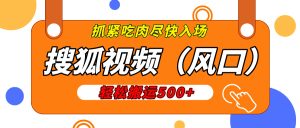 搜狐视频，新风口，1天200-500收益，抓紧吃肉！-星璨学社
