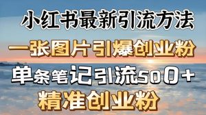 红书最新引流方法，一张图片引爆创业粉，单条笔记引流500＋精准创业粉-星璨学社