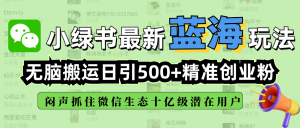 小绿书最新蓝海玩法，无脑搬运日引500+精准创业粉，闷声抓住微信生态十亿级潜在用户-星璨学社