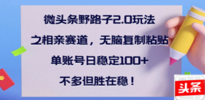 全网首发微头条野路子2.0玩法之相亲赛道，无脑搬砖复制粘贴，单账号日稳定300+保姆级教程-星璨学社