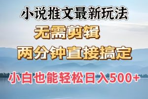 小说推文最新玩法，无需剪辑，两分钟直接搞定，小白也能轻松日入500＋-星璨学社