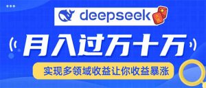 2025年最火项目DeepSeek玩法-星璨学社