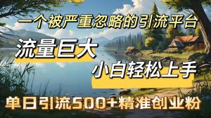 一个被严重忽略的引流平台，流量巨大，小白轻松上手，单日引流500＋精准创业粉-星璨学社