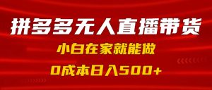 拼多多无人直播带货，小白在家就能做，0成本日入500+-星璨学社