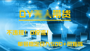 DY无人直播带货，不违规，0投流，操作简单，单号稳定日入500+可矩阵-星璨学社