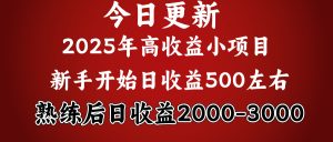 好项目一眼就能看出来，日收益1000，长久可做，2025拼的就是我比你勤奋-星璨学社