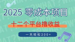 2025年零成本项目，十二个平台撸收益，单号一天轻松200+-星璨学社