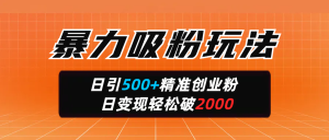 暴力吸粉玩法，日引500+精准创业粉，日变现轻松破2000-星璨学社