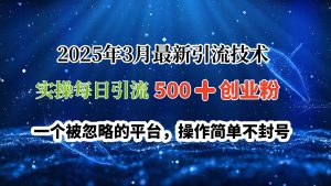 2025年3月最新引流技术，实操每日引流500➕创业粉，一个被忽略的平台，操作简单不封号-星璨学社