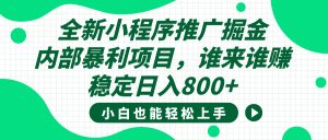 全新小程序推广掘金，内部暴利项目，小白轻松上手，稳定日入800+-星璨学社