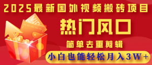 2025最新国外视频搬砖项目，热门风口，简单去重剪辑，小白也能轻松月入3W+-星璨学社