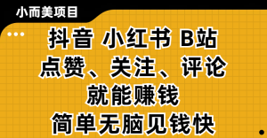 小而美的项目，抖音、小红书、B站视频点赞、关注、评论就能赚钱，简单无脑立见收益！妥妥的零撸项目-星璨学社