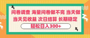 问卷调查 一手资源海量问卷做不完 次日结算 可全职可兼职 长效稳定 当天做当天见收益 轻松日入300+-星璨学社