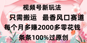 日入2000+，条条100%过原创，视频号最香风口赛道，小白轻松上手-星璨学社