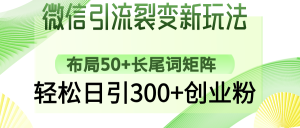 微信引流裂变新玩法：布局50+长尾词矩阵，轻松日引300+创业粉-星璨学社