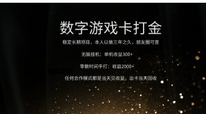 正规游戏卡打金，单机无脑挂收益300+，手打收益无上限！！！-星璨学社
