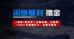 【闲鱼暴利撸金】无限流量，日盈利1000+可复制扩大，长期可操作-星璨学社