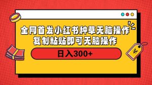 全网首发 小红书种草无脑操作复制黏贴即可 轻松日入300+-星璨学社