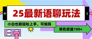最新语聊玩法，纯手工，单机收益100+，小白也能轻松上手，可矩阵操作-星璨学社