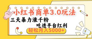 小红书商单3.0最新玩法，三天暴力涨千粉，吃透平台红利，轻松月入5000+-星璨学社