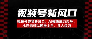 视频号带货新风口，AI模版暴力起号，小白也可以轻松上手，月入过万-星璨学社