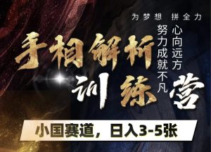手相解析训练营，全网独家项目，小国赛道，轻松日入3-5张-星璨学社