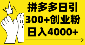 拼多多日引300+创业粉 日入4000+-星璨学社