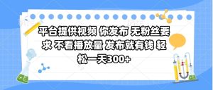 平台提供视频 你发布 无粉丝要求 不看视频播放量 发布就有钱 轻松一天300+-星璨学社