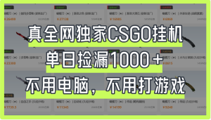 真全网独家CSGO挂机，单日捡漏1000+-星璨学社