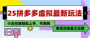 25最新拼多多虚拟电商，单店日入3位数，小白也能快速上手，保姆级教程.-星璨学社
