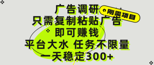 广告调研项目，只需复制粘贴广告即可赚钱，平台大水，任务不限量，一天300+-星璨学社