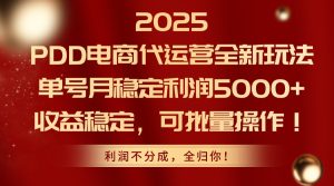 2025 PDD电商代运营全新玩法，单号月稳定利润5000+，收益稳定，可批量操作！-星璨学社