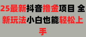 25最新抖音直播撸金项目，小白也能轻松上手！-星璨学社